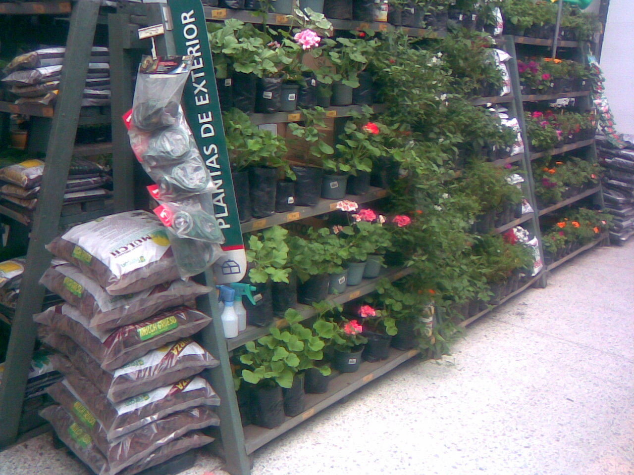 plantas vivas en estanterías planta viva vivero jardín estante para plantas vivas mostrador exhibidor de plantas vivas mostrador de plantas vivas en repisa armario tarima estantes de matas 0012 plantas vivas en estanterías planta viva vivero jardín estante para plantas vivas mostrador exhibidor de plantas vivas mostrador de plantas vivas en repisa armario tarima estantes de matas 0012